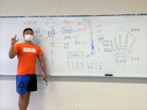 【札幌開催！】機能解剖学の基礎が学べるファンクショナルアナトミースペシャリスト03