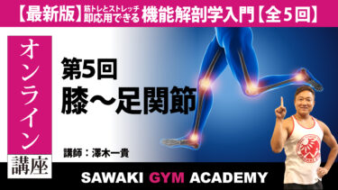 【オンライン講座】第5回 膝～足関節　機能解剖学入門【2023年度版】